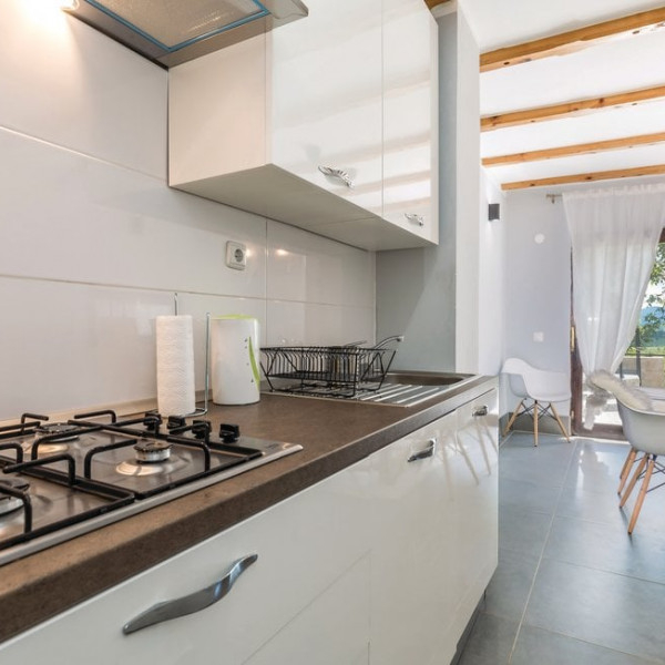 Kitchen, House Sara, Guest House Sara Latin with a pool and restaurant in Lika, rooms, apartments, and holiday home Plaški